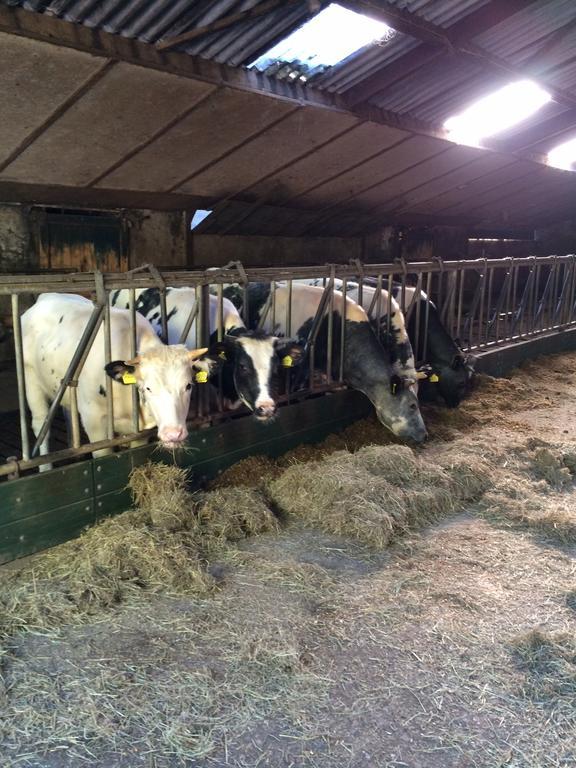 B&B De Laarhoeve Waalre Bagian luar foto