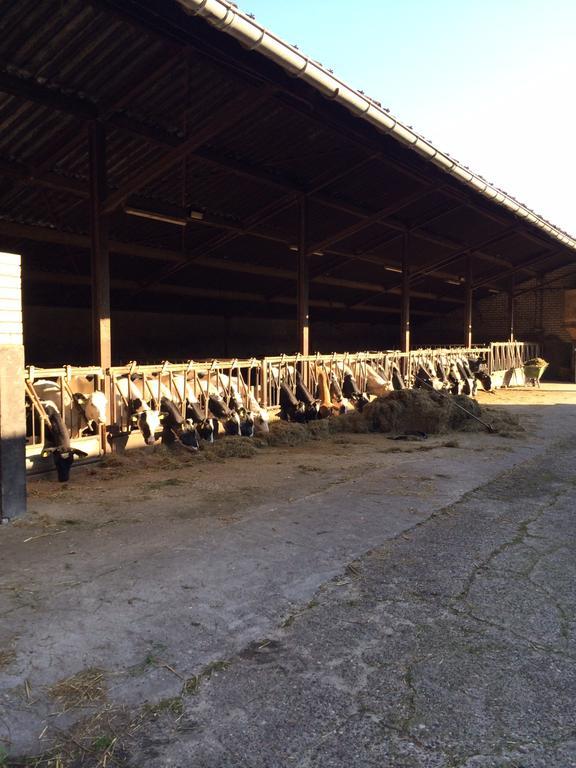 B&B De Laarhoeve Waalre Bagian luar foto